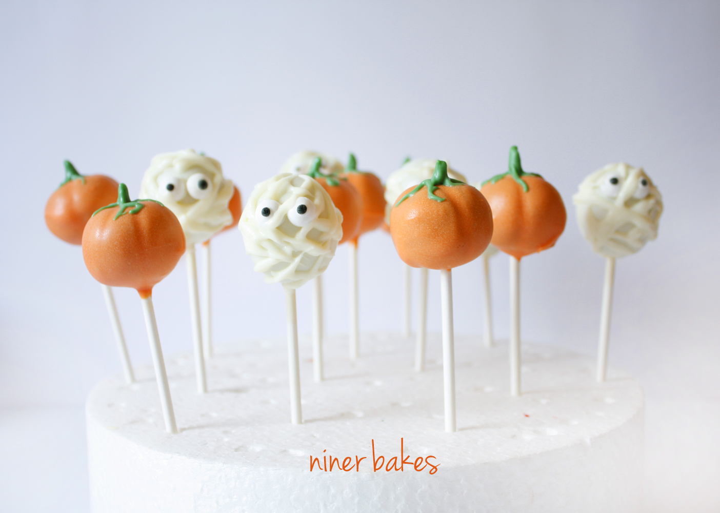Happy Spring} Cute Bird Cake Pops Tutorial | niner bakes
